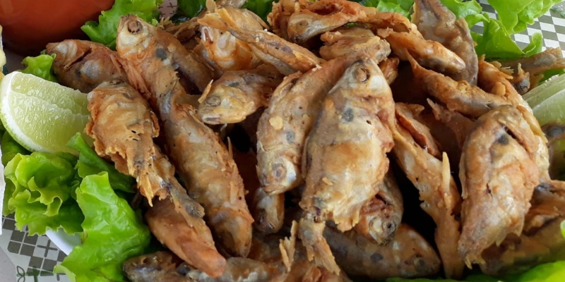 Lambari Frito